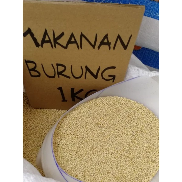 Makanan Burung Sambau Putih USA / MIX Repack 1kg/ White Millet /Sekoi/Bird Food/Millet Bird/Bird Feed/Sekoi Putih - Image 2